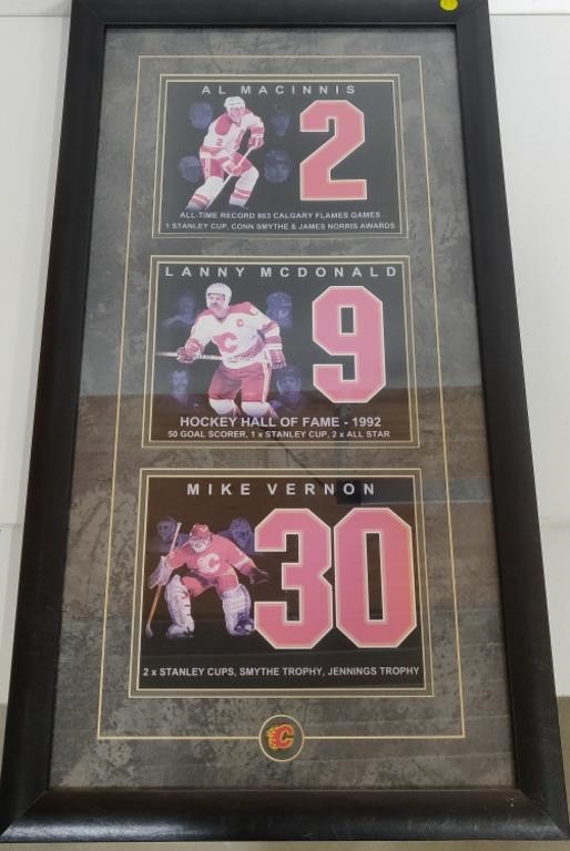 Calgary Flames Framed Players