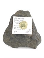 Large Magnetite "Loadstone"