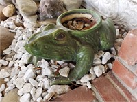 Frog Planter