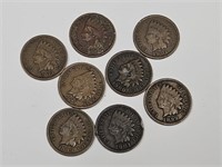 8 Indian Head Penny Coins