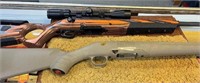 350 Legend Ruger - Factory Stock & Boyd Stock