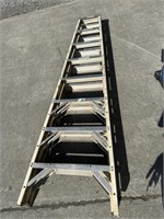 Werner 8 foot ladder