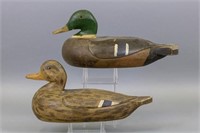 Pair of Mallard Duck Decoys by Mueller