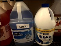 GROUP OF GLASS CLEANER & BLEACH