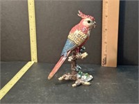 Mcaw Parrot Trinket Keeper