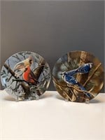 Collectable Knowles Bird Plates by Kevin Daniel
