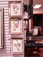 Three mirrored framed botanical prints,