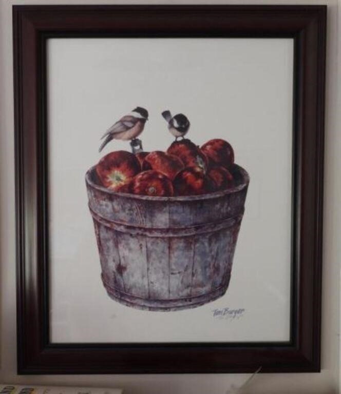 Framed Print of Apple Basket S/N Tom Barger