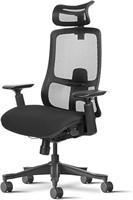 Ergonomic Office Chair Lumbar Support: Ergo