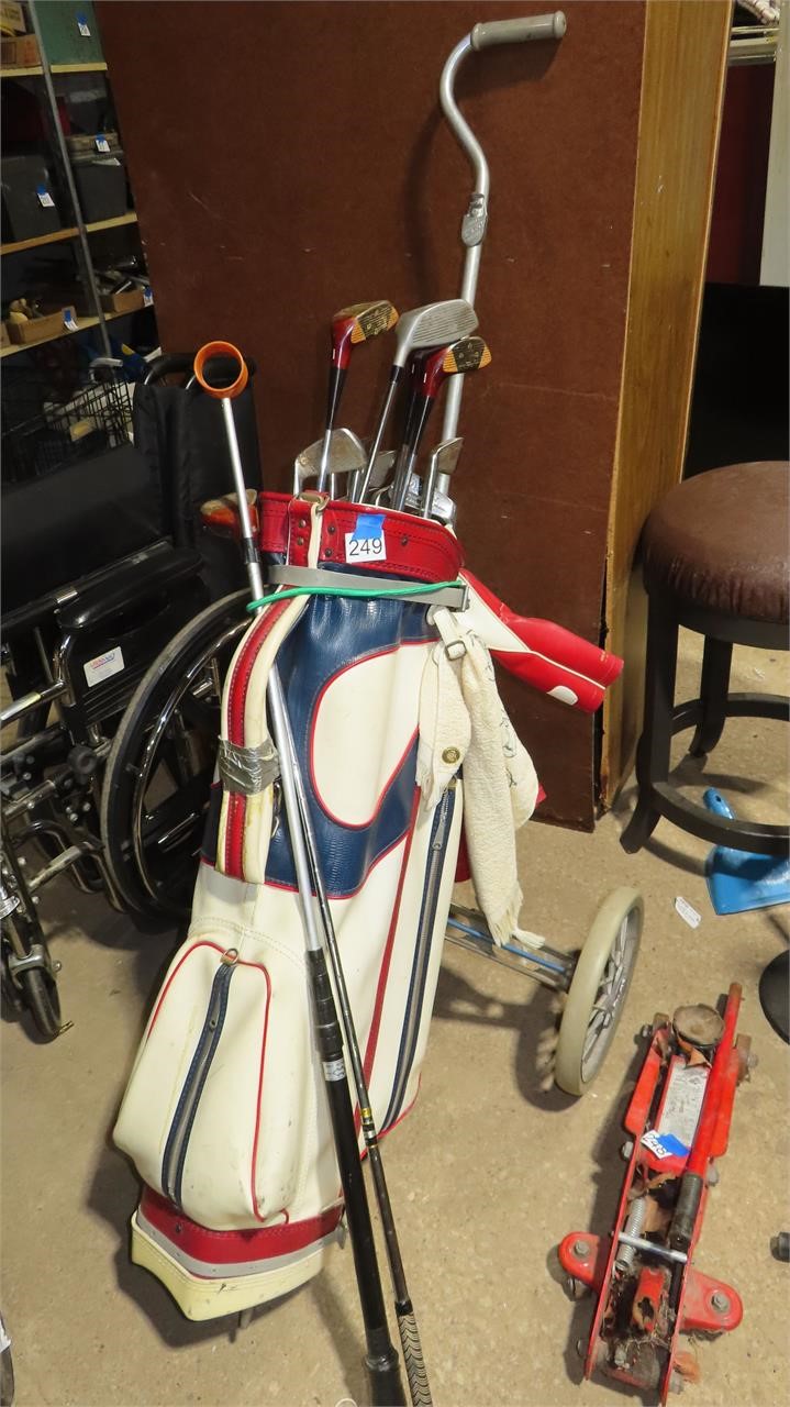 golf bag with assorted golf clubs and caddy