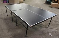 Ping Pong Table