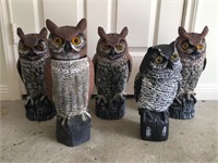 Group of Owl Decoys