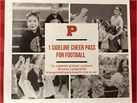 1 free cheer clinic pass for Basketball