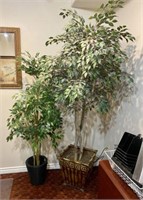 Qty (2) Misc. Artificial Ficus 6&5ft Trees