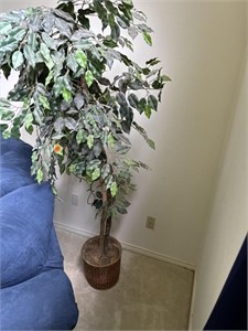 Fax plant/ tree