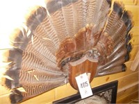 (2) Turkey Feather Fan Mounts