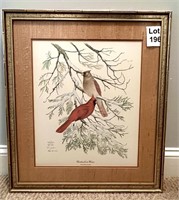 Cardinals in Winter by Jenkins Professionally