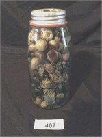 Blue mason jar (year 1858)