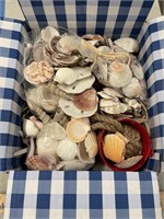 Box full of shells