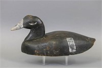White Winged Scoter Duck Decoy by Unknown East