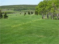 Elkwater Golf Play 4, 9 hole rnds w/Pwr Cart Seat