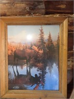 Framed Moose Picture - 20"Wx24"H