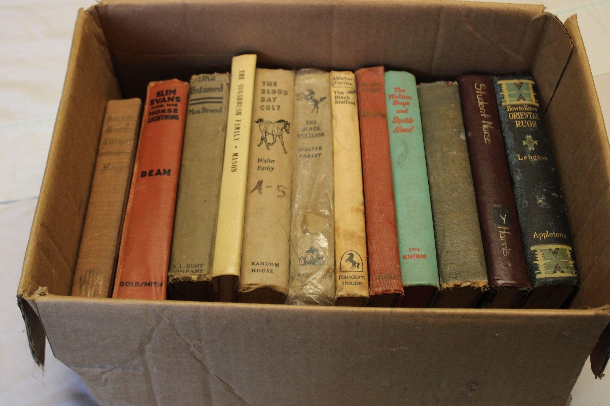 Box of Vintage/Antique Books