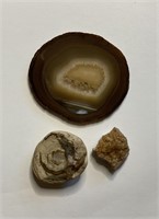 Brown Stone Specimens - Varied (#3 Total)