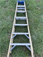 Werner’s 7 ft Standup Ladder