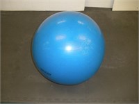 Gym Nic 20 inch Exercise Ball