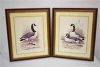 2 CANADA GOOSE PRINTS BY E. RAMBOW 23 1/4" X 19"