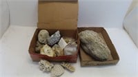 minerals and fossils for education