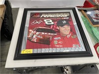 Dale Jr Budweiser Picture 21x21"