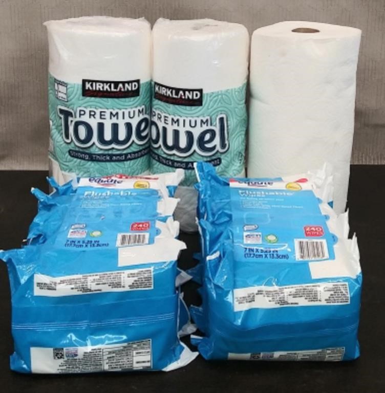 Bin 10 Packs Flushable Wipes, 3 Rolls Paper Towels