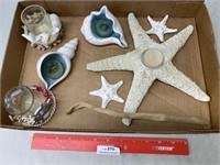 Lot of Misc Sea Shell and Star Fish Items