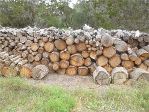 Oak Fire Wood - Massive Lot, Take What You Want!