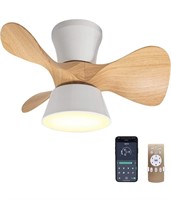 22'' Modern Ceiling Fan with Remote