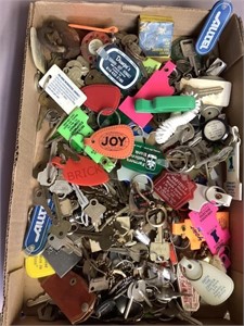 Assorted Keys and Keychains