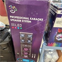 Professional Karaoke Speaker System