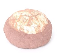 Fantastic Fossilized Dinosaur Egg