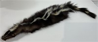 Skunk Pelt Fur