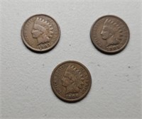 3 Indian Head pennies: 1903, 1905, 1906