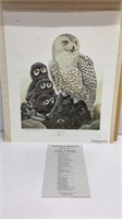 ‘Snowy Owls’ by John A Ruthven, print is 14x17,