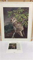 “Barred Owl" by Ray Hamm, #966/1000, 1980,