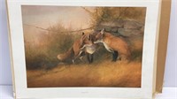 ‘Sunning Foxes’ print by T Sander, # 216/750,