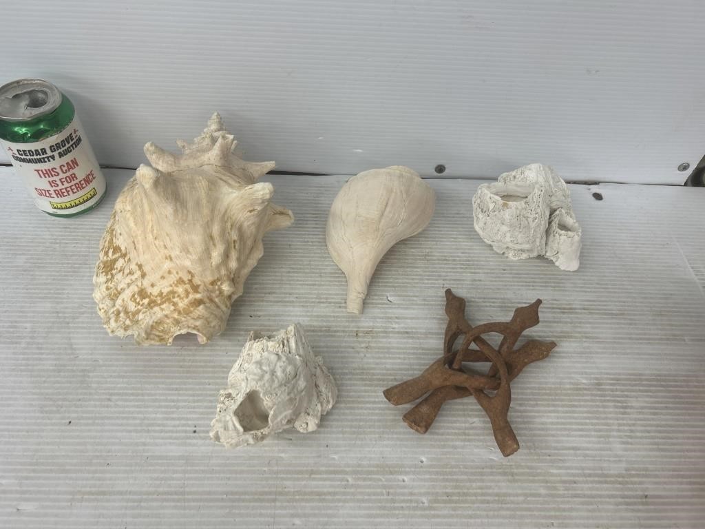 Decorative seashells and beach items