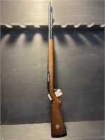 MARLIN. .21CAL