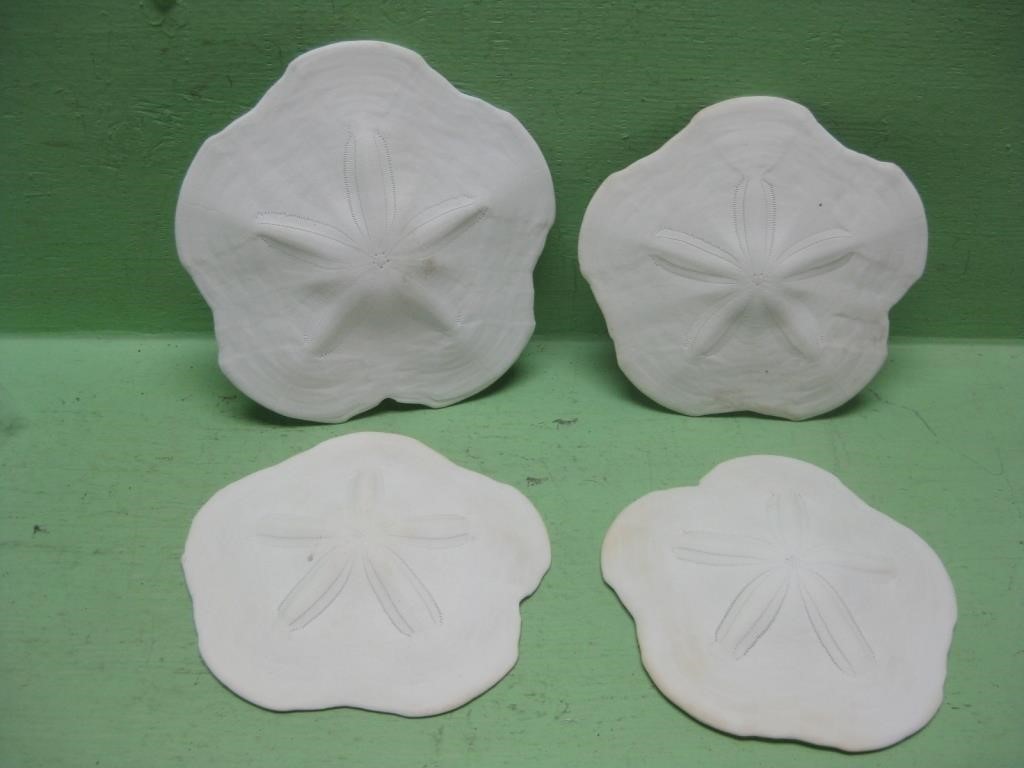 Four Large Sand Dollars