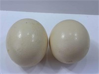 Pair of Eggs
