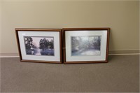 Two framed and glazed Florida lithos of Springs an